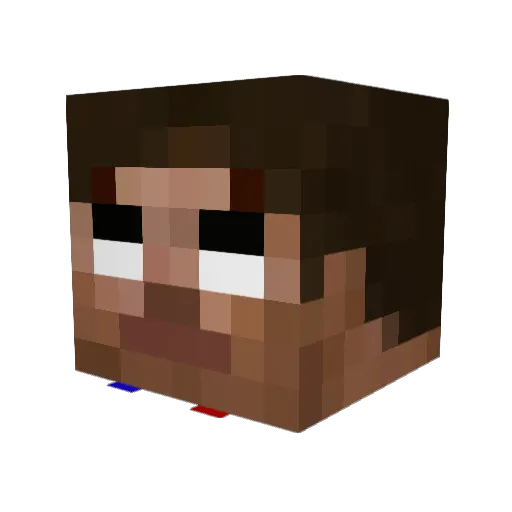 tanis978 Minecraft avatar head, 3D render