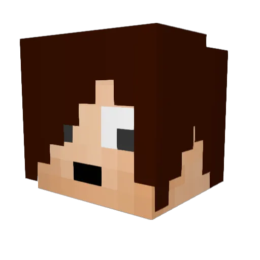 tank_sin Minecraft avatar head, 3D render