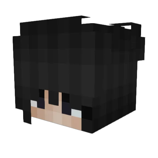 tankikiller Minecraft avatar head, 3D render