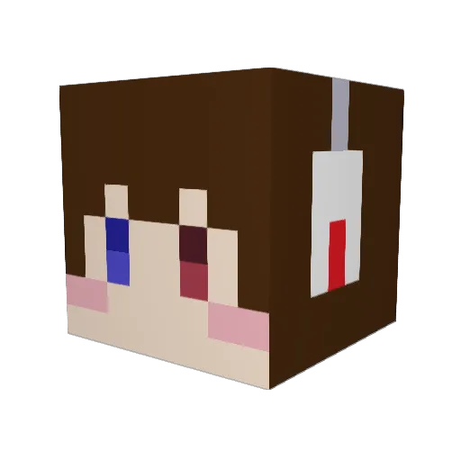 tankun877 Minecraft avatar head, 3D render
