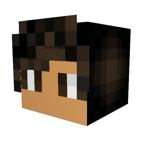 tankvinnie Minecraft avatar head, 3D render