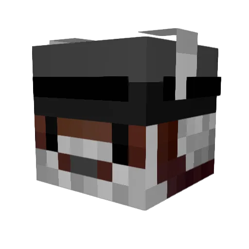 tanllus Minecraft avatar head, 3D render