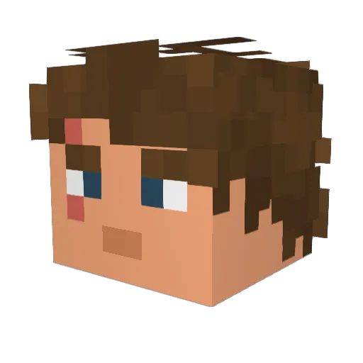 tanncr Minecraft avatar head, 3D render