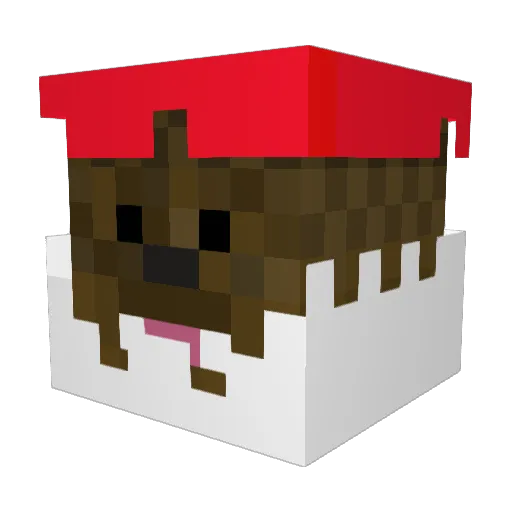 tannerjs34 Minecraft avatar head, 3D render