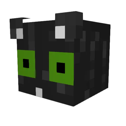tannerthekat Minecraft avatar head, 3D render