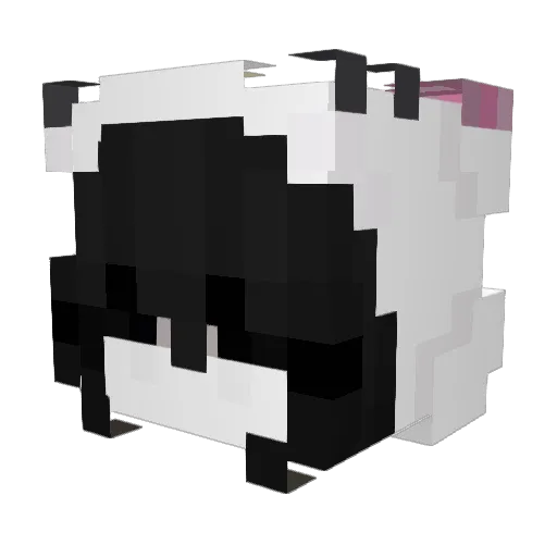 tannies Minecraft avatar head, 3D render