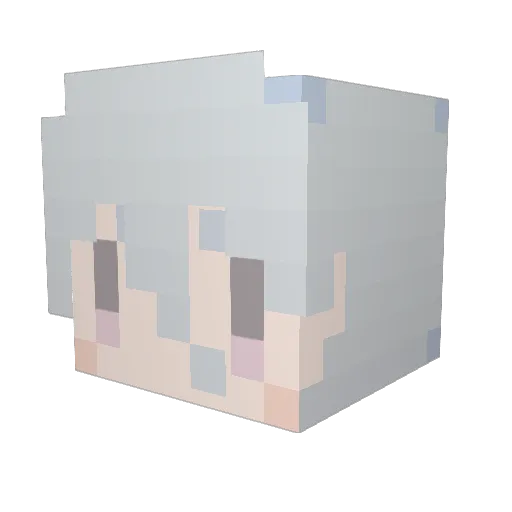 tanopi4 Minecraft avatar head, 3D render