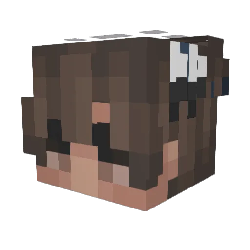 tansan45 Minecraft avatar head, 3D render
