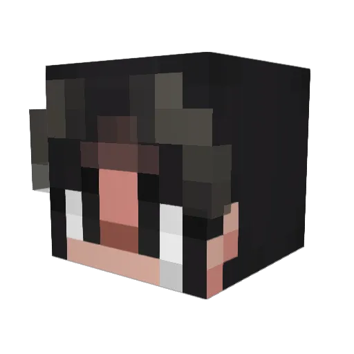 tansan62094 Minecraft avatar head, 3D render