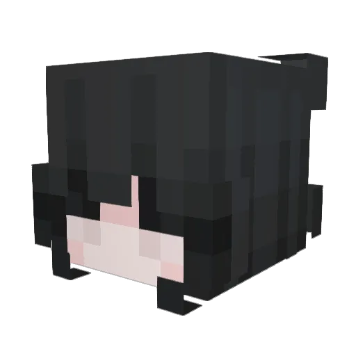 tansio_remon Minecraft avatar head, 3D render
