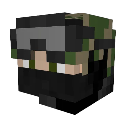 tantan70 Minecraft avatar head, 3D render