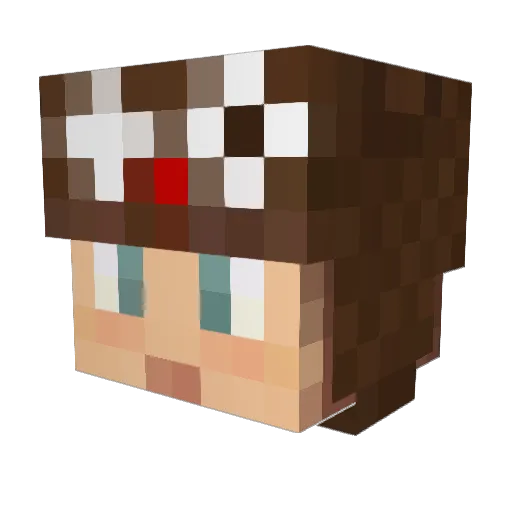 tanukigrl Minecraft avatar head, 3D render