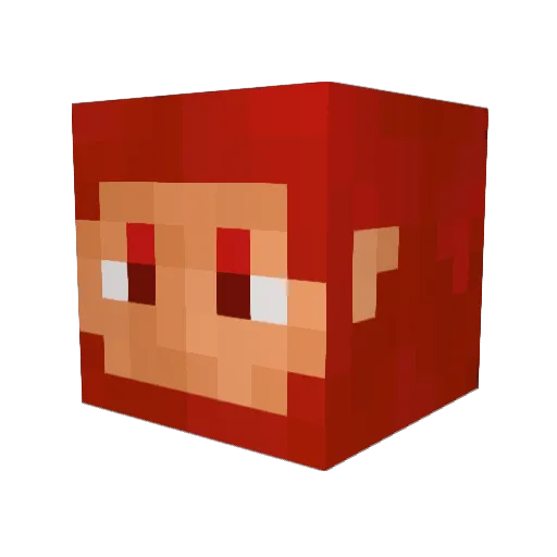 tanukismsn Minecraft avatar head, 3D render