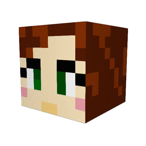 tanukisu1t Minecraft avatar head, 3D render