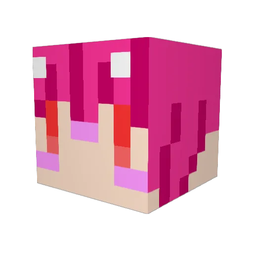 tanumaster Minecraft avatar head, 3D render