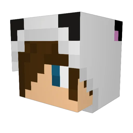 tanxiangdi Minecraft avatar head, 3D render