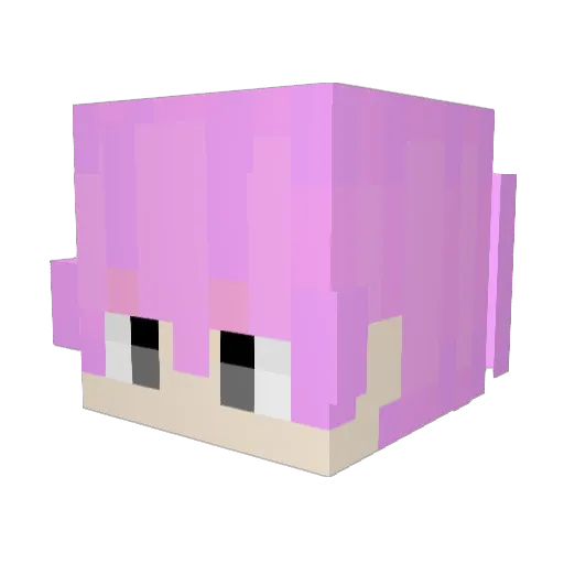 taoyaoTY Minecraft avatar head, 3D render