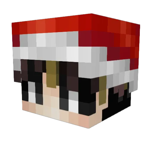 taoyue3 Minecraft avatar head, 3D render