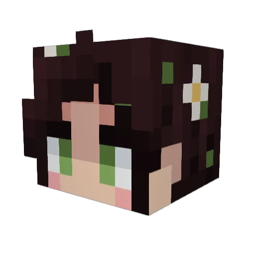 taoyung Minecraft avatar head, 3D render