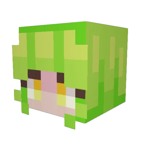 tapeworme Minecraft avatar head, 3D render