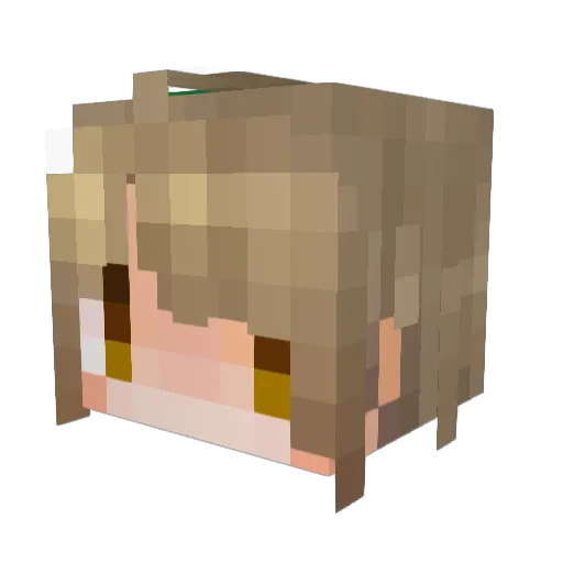 tapioka0816 Minecraft avatar head, 3D render