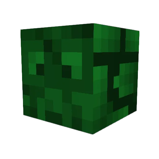 tapples Minecraft avatar head, 3D render