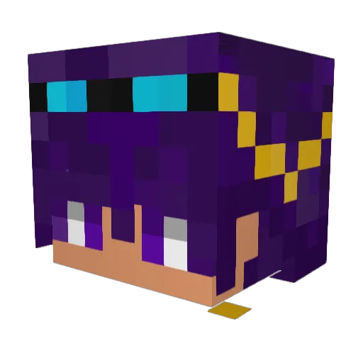 taquero3000 Minecraft avatar head, 3D render
