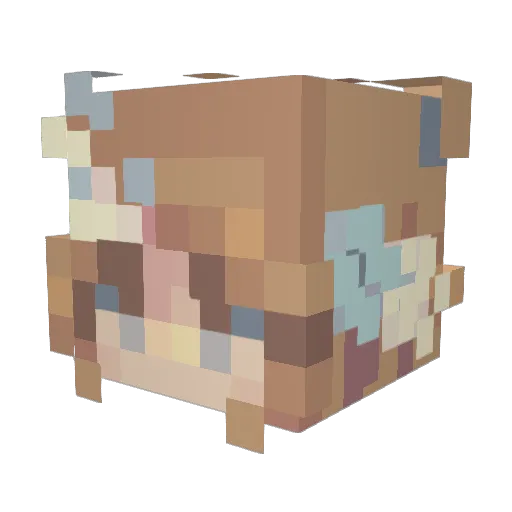 tarafuro Minecraft avatar head, 3D render
