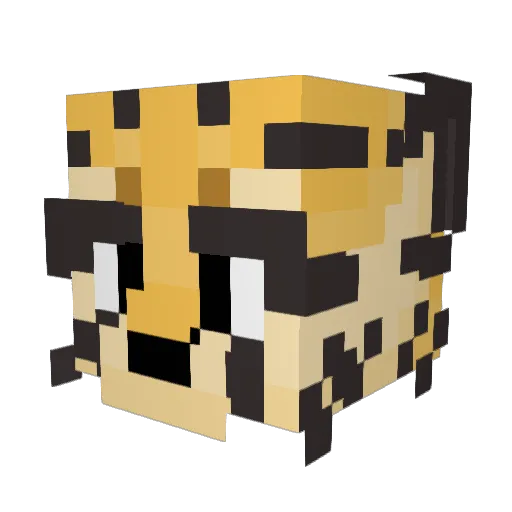 taraisdabest Minecraft avatar head, 3D render