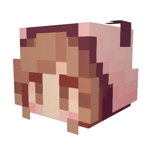 tarantula12 Minecraft avatar head, 3D render