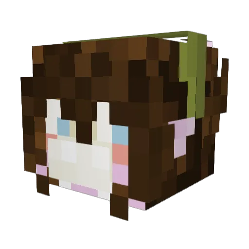 tarantulafruit Minecraft avatar head, 3D render