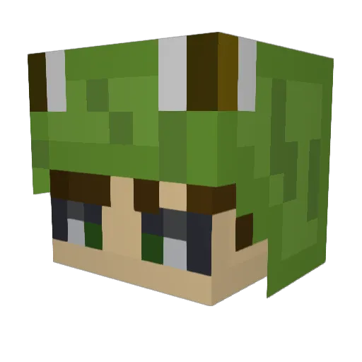 tarasfriend Minecraft avatar head, 3D render