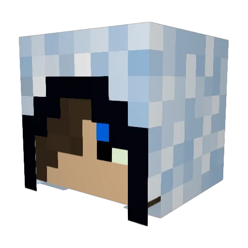 tardif24 Minecraft avatar head, 3D render