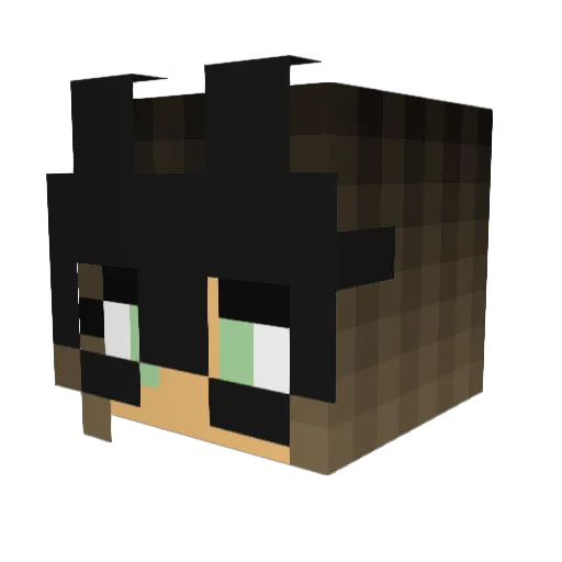 targinoww Minecraft avatar head, 3D render