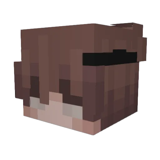 tarikswrld Minecraft avatar head, 3D render