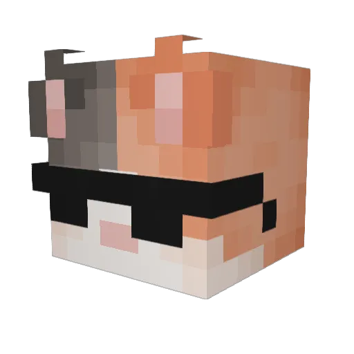 tarim2 Minecraft avatar head, 3D render