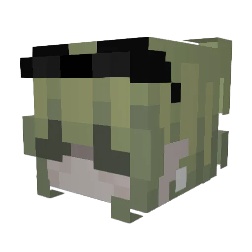 tarmoset Minecraft avatar head, 3D render
