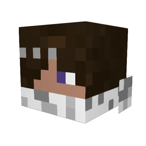 tarnac24 Minecraft avatar head, 3D render