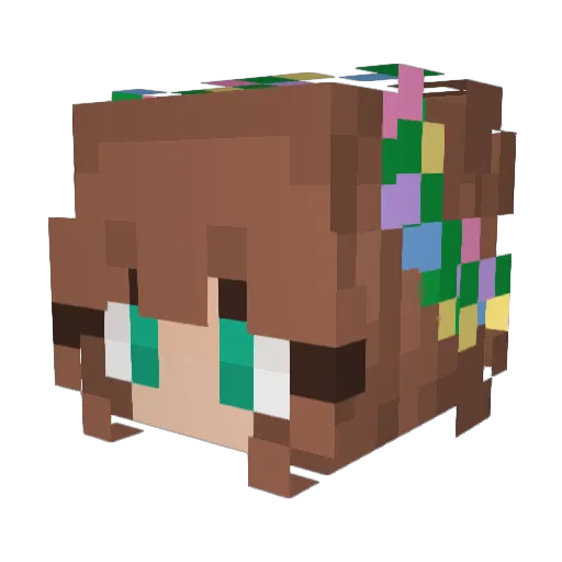 tarnel2 Minecraft avatar head, 3D render
