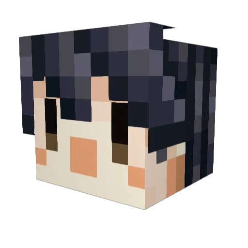 taros377 Minecraft avatar head, 3D render