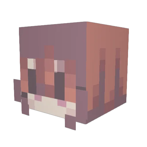 tarrance Minecraft avatar head, 3D render