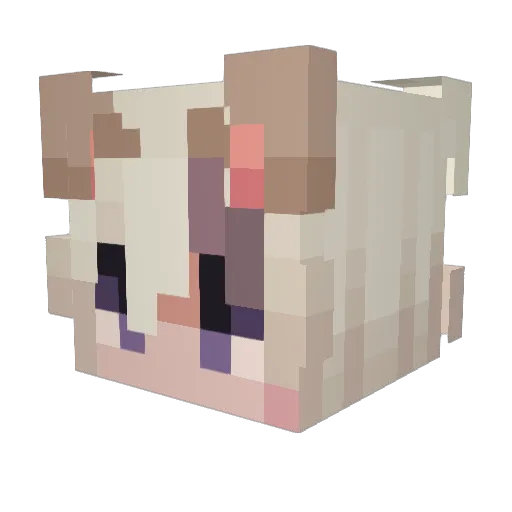 tartagliazxx Minecraft avatar head, 3D render