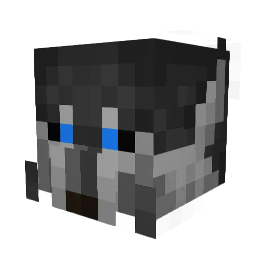 tarupa Minecraft avatar head, 3D render