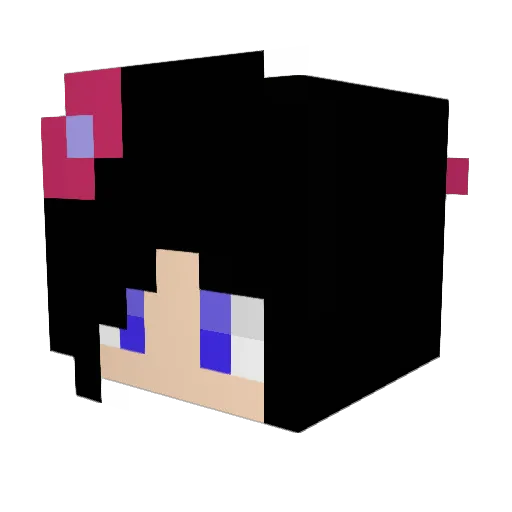 taryn120 Minecraft avatar head, 3D render