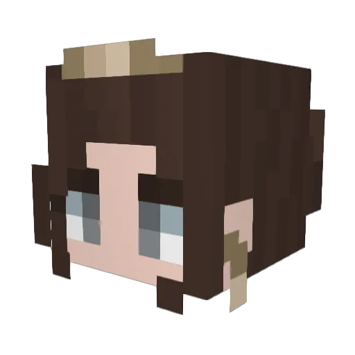 tash2299 Minecraft avatar head, 3D render