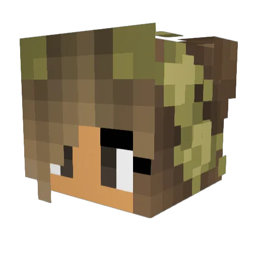 tashie_33 Minecraft avatar head, 3D render