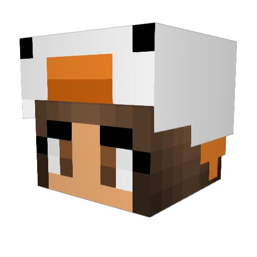 tasnimlol Minecraft avatar head, 3D render