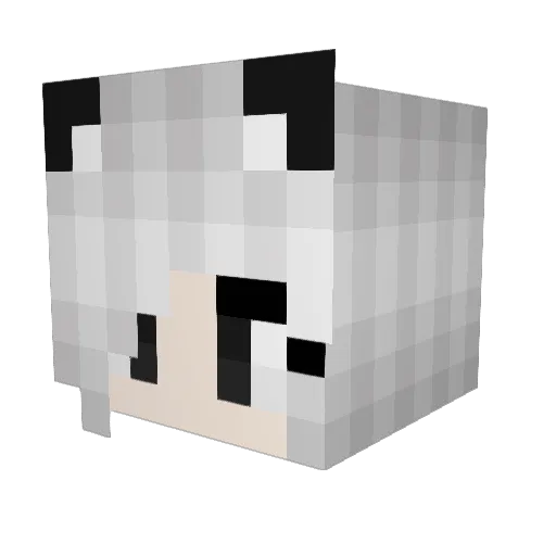 taso_010 Minecraft avatar head, 3D render