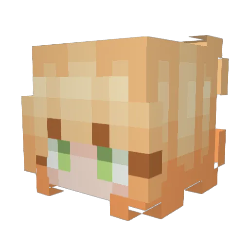 tassl3 Minecraft avatar head, 3D render