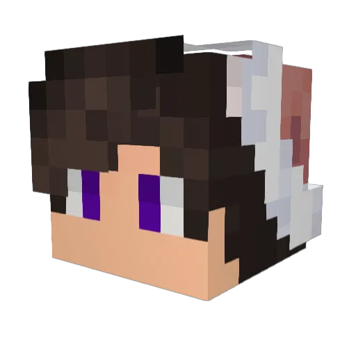 tastdovapo Minecraft avatar head, 3D render